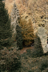 path in the middle of nowhere