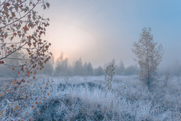 November dreamy frosty morning. Beautiful autumn misty cold sunrise landscape in blue tones. Fog...