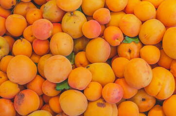 Orange Plum