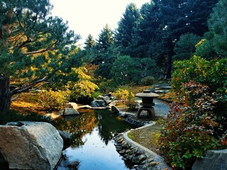 autumn reflections in the park 
