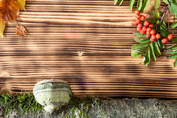 Hintergrund oder Untergrund aus braunem Holz mit Früchten und Laub vom Herbst