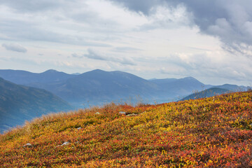 Carpathian mountains