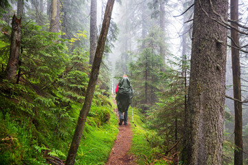 Fototapeta premium Hike in the forest