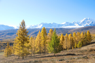 Altai, view of the North Chui ridge