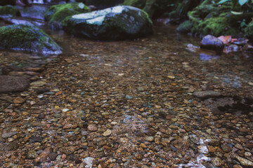 transparent water river