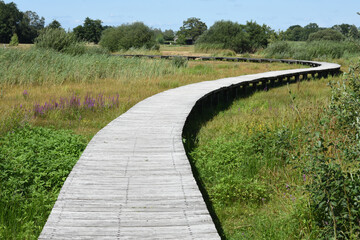 decking path through nature area Empese en Tondense Heide in the Netherlands