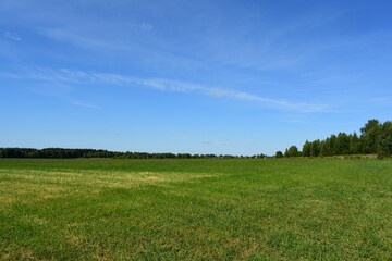 Obraz premium green field and blue sky