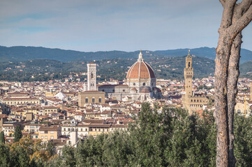Obraz premium View of Florence from Forte Belvedere