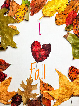 Welcome autumn frame natural colorful leaves love heart shape leaf image picture background