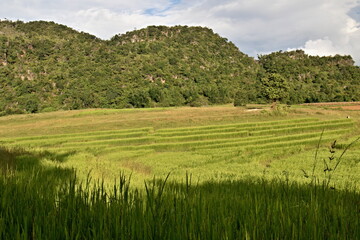 Landscape view with rice fields near Pauk Tu village. Shan state. Myanmar. Asia.