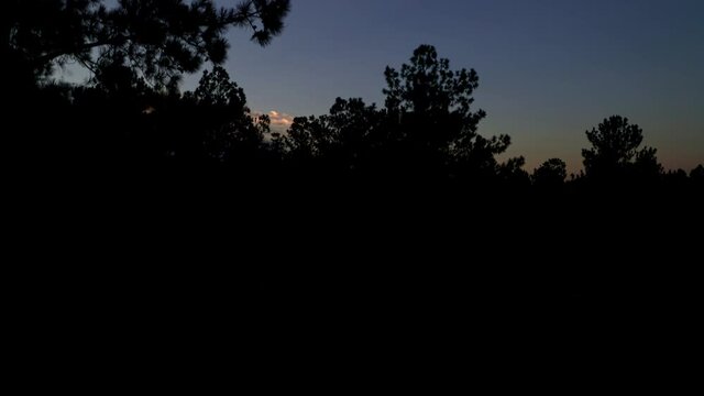 Aerial drone shot starting in silhouette of pine trees rising above revealing a rich sky either a sunrise or sunset.