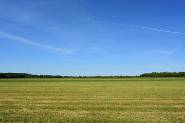 field and blue sky