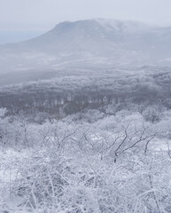 winter mountain valley in a snow and mist