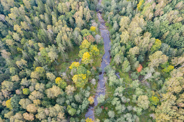 Aerial top down view of winding river flowing through green forest