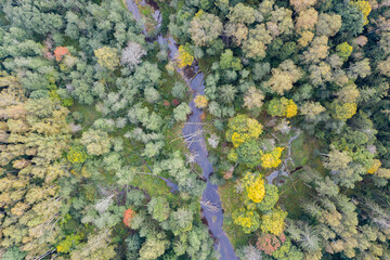 Aerial top down view of winding river flowing through green forest