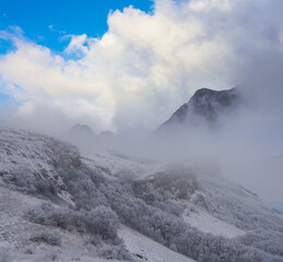 mountain valley with rock and forest in a snow, winter natural background