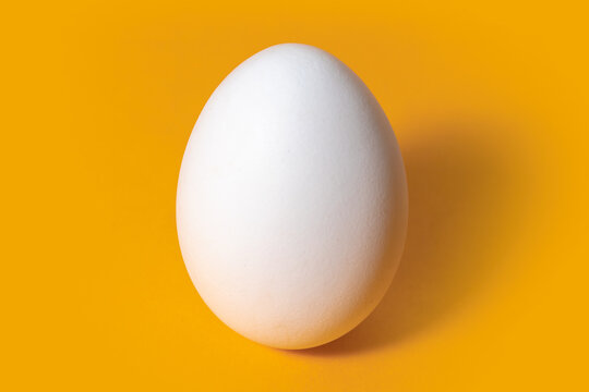 Chicken egg isolated on yellow background