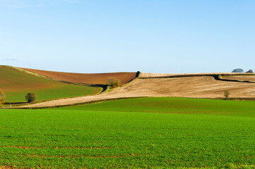 Farmland, Withycombe near Dunster, Somerset