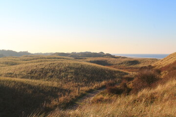 Fototapeta premium Juist, East Frisian Island, ostfriesische Insel, dunes in wintertime