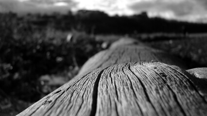 black and white photos wood texture wood color