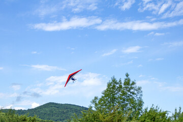 Hang gliding over the forest on a Sunny day in summer.