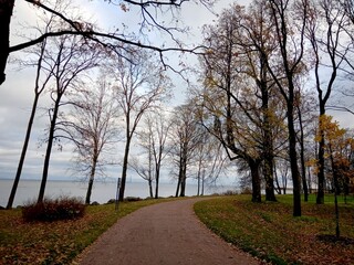 Suburban autumn of Saint Petersburg, Peterhof, Alexandria Park