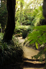 Sintra gardens, Monserrate Palace, Portugal