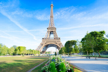 Fototapeta premium eiffel tour and Paris cityscape