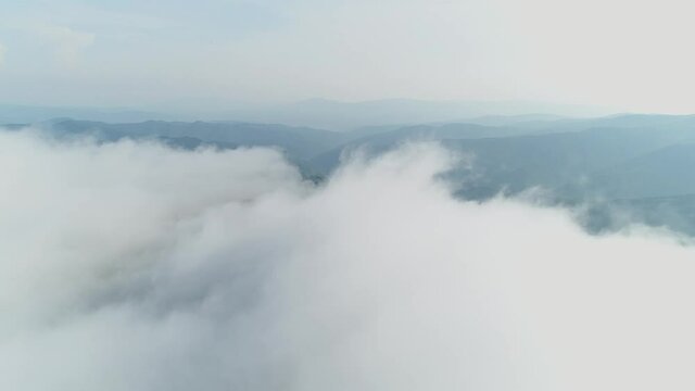 Departure from the fog over Mount Gemba. Flight over the summer mountains. Ukrainian Carpathian Mountains.