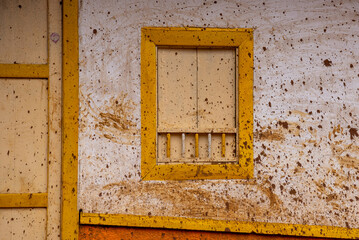 yellow wall and window with swamp footprints from flood