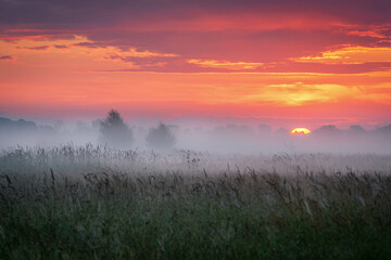 Fototapeta na wymiar Sunrise over the meadow in the morning fog. Morning sunrise. Conditions of poor visibility. Natural landscape. Weather. Synoptic. Weather forecast