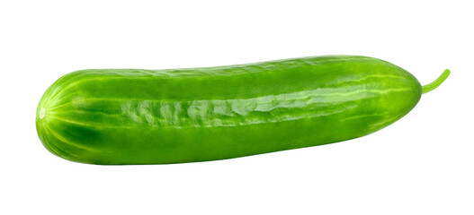Cucumber one whole green isolated on a white background with clipping path. Full depth of field.