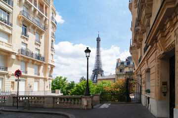 Fototapeta na wymiar eiffel tour and Paris street