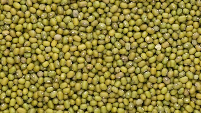 Green mung bean, top view. Beans - background. 