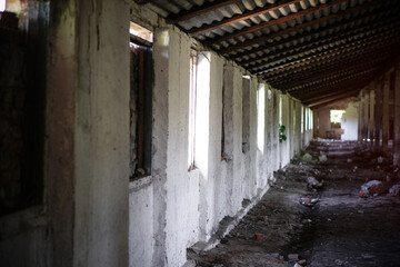 Fototapeta na wymiar Abandoned building inside. old farm in Chernobyl. Technological disaster