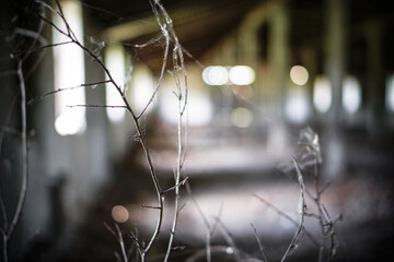Abandoned building inside. old farm in Chernobyl. Technological disaster
