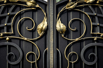 Texture with forged elements on the gate. space for text