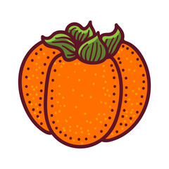Vector doodle Persimmon. Hand drawn persimmon fruit illustration isolated on white background. Food icon