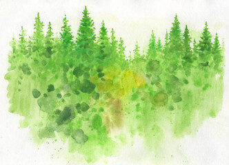 Woodlands drawn in watercolors. Green fir trees on a white background. Background of trees for design and creativity. Abstract nature background.