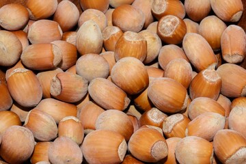 Hazelnut background. Can be used for design, websites, interior, background, backdrop, texture creation, the use of graphic editors, illustration, to create seamless textures