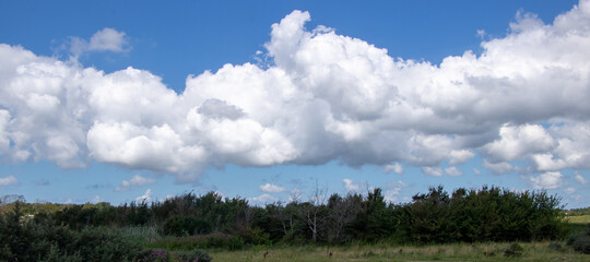 Fototapeta premium clouds over the forest