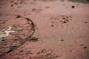 Old wall with cracked paint. Background for design. White picture with grunge scratches
