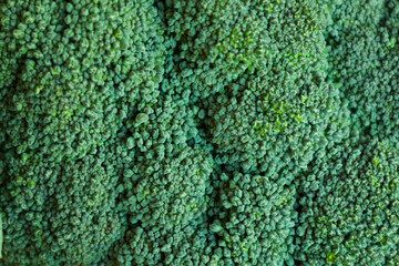 Green background of broccoli cabbage