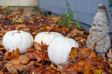 White pumpkins, fall leaves, and a gnome.