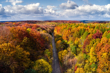 Beautiful aerial autumn forest with roadway