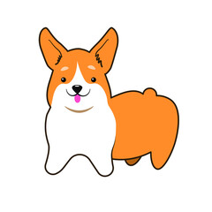 Cute Corgi dog. Isolated vector image in eps format.