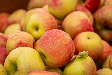 An Abundance of Apples