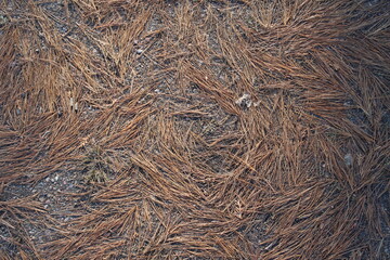 close up of a texture