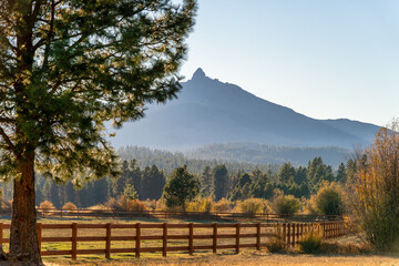 Fototapeta na wymiar Fall Color at Sunset with Mountain on Ranch on Farm in Autumn 