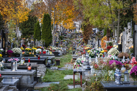 Alley between graves on Wolski Cemetery just before All Saints Day in Warsaw, capital of Poland